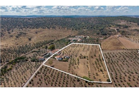 Farm i Monforte, Portalegre, Monforte - € 380.000 | Ref: MAS_757 - foto 4