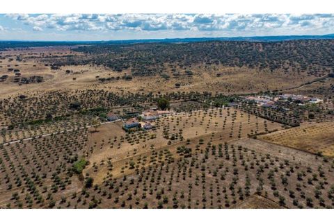 Farm i Monforte, Portalegre, Monforte - € 380.000 | Ref: MAS_757 - foto 5