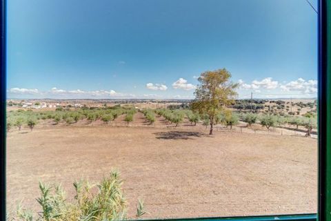 Farm i Monforte, Portalegre, Monforte - € 380.000 | Ref: MAS_757 - foto 20