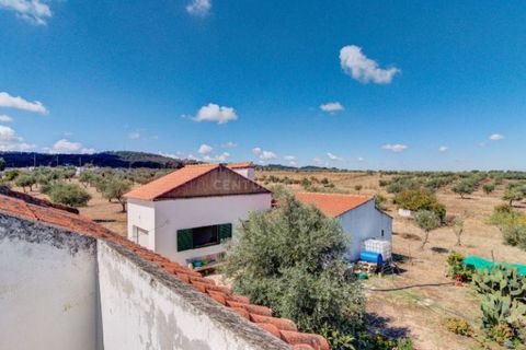 Farm i Monforte, Portalegre, Monforte - € 380.000 | Ref: MAS_757 - foto 30