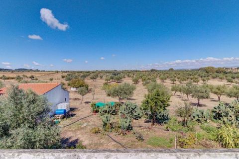 Farm i Monforte, Portalegre, Monforte - € 380.000 | Ref: MAS_757 - foto 31