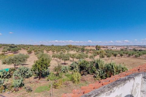 Farm i Monforte, Portalegre, Monforte - € 380.000 | Ref: MAS_757 - foto 32