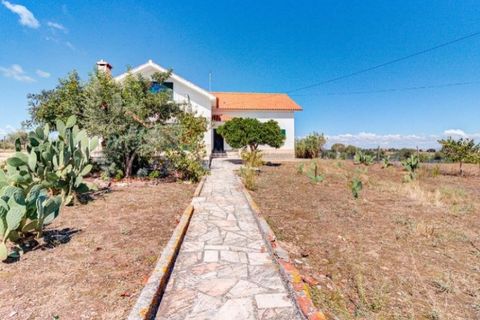Farm i Monforte, Portalegre, Monforte - € 380.000 | Ref: MAS_757 - foto 34