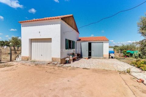 Farm i Monforte, Portalegre, Monforte - € 380.000 | Ref: MAS_757 - foto 35