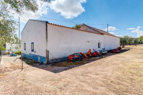Farm i Monforte, Portalegre, Monforte - € 380.000 | Ref: MAS_757 - foto 38