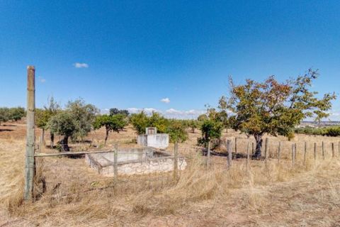 Farm i Monforte, Portalegre, Monforte - € 380.000 | Ref: MAS_757 - foto 39