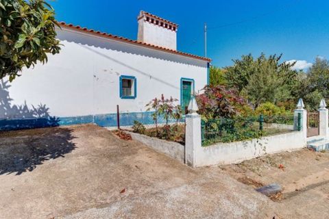 Farm i Monforte, Portalegre, Monforte - € 380.000 | Ref: MAS_757 - foto 44