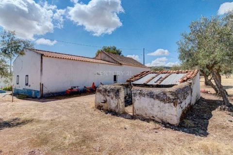 Farm i Monforte, Portalegre, Monforte - € 380.000 | Ref: MAS_757 - foto 46