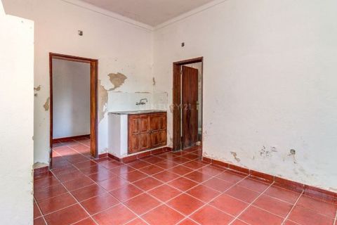 Farm i Monforte, Portalegre, Monforte - € 380.000 | Ref: MAS_757 - foto 47