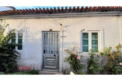 Villa i Alburitel, Santarem, Alburitel - € 95.000 | Ref: TPH221-69 - foto 5