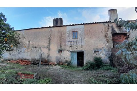 Villa i Alburitel, Santarem, Alburitel - € 95.000 | Ref: TPH221-69 - foto 11