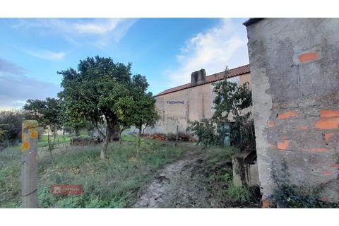 Villa i Alburitel, Santarem, Alburitel - € 95.000 | Ref: TPH221-69 - foto 12