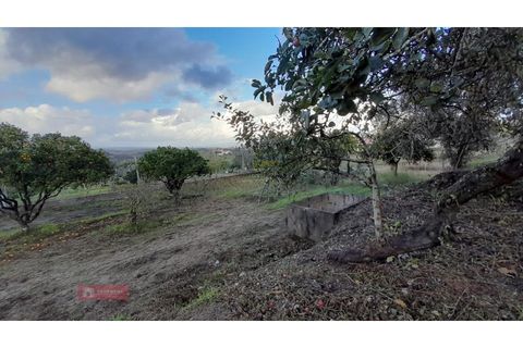 Villa i Alburitel, Santarem, Alburitel - € 95.000 | Ref: TPH221-69 - foto 14