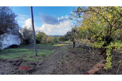 Villa i Alburitel, Santarem, Alburitel - € 95.000 | Ref: TPH221-69 - foto 15