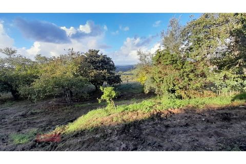 Villa i Alburitel, Santarem, Alburitel - € 95.000 | Ref: TPH221-69 - foto 16