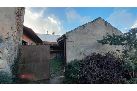 Villa i Alburitel, Santarem, Alburitel - € 95.000 | Ref: TPH221-69 - foto 17