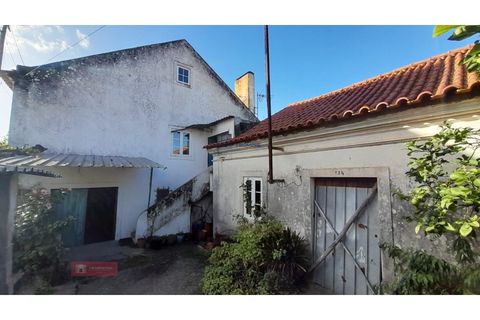 Villa i Alburitel, Santarem, Alburitel - € 95.000 | Ref: TPH221-69 - foto 21