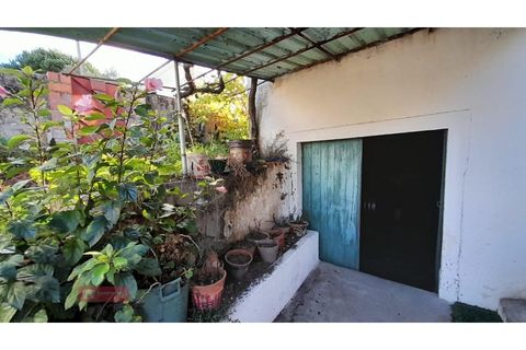 Villa i Alburitel, Santarem, Alburitel - € 95.000 | Ref: TPH221-69 - foto 22