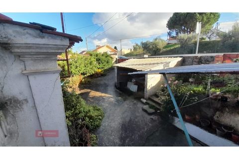 Villa i Alburitel, Santarem, Alburitel - € 95.000 | Ref: TPH221-69 - foto 25