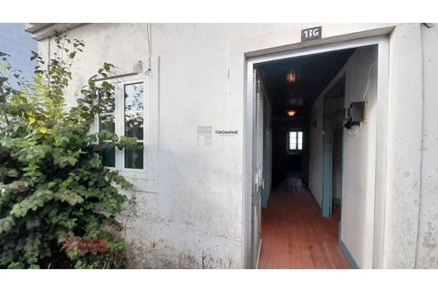 Villa i Alburitel, Santarem, Alburitel - € 95.000 | Ref: TPH221-69 - foto 28