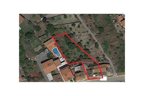 Villa i Alburitel, Santarem, Alburitel - € 95.000 | Ref: TPH221-69 - foto 31