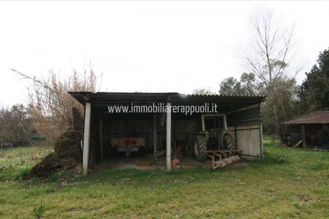Villa i Lucignano, Arezzo, Lucignano - € 119.000 | Ref: CS213 - foto 14