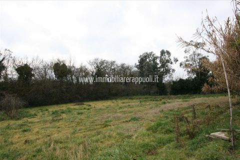 Villa i Lucignano, Arezzo, Lucignano - € 119.000 | Ref: CS213 - foto 15