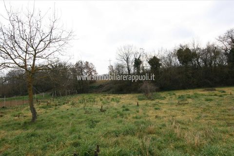 Villa i Lucignano, Arezzo, Lucignano - € 119.000 | Ref: CS213 - foto 17