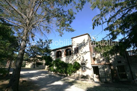 Landejendom i Sinalunga, Siena, Sinalunga - € 650.000 | Ref: CL257 - foto 3
