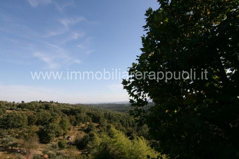 Landejendom i Sinalunga, Siena, Sinalunga - € 650.000 | Ref: CL257 - foto 14