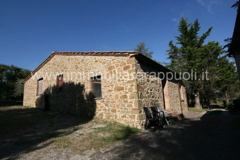 Landejendom i Sinalunga, Siena, Sinalunga - € 650.000 | Ref: CL257 - foto 25