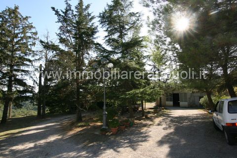 Landejendom i Sinalunga, Siena, Sinalunga - € 650.000 | Ref: CL257 - foto 28