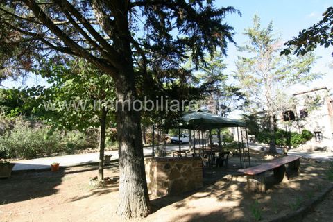 Landejendom i Sinalunga, Siena, Sinalunga - € 650.000 | Ref: CL257 - foto 29