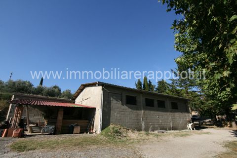 Landejendom i Sinalunga, Siena, Sinalunga - € 650.000 | Ref: CL257 - foto 30