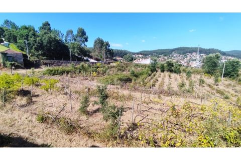 Farm i Curvos, Braga, Curvos - € 685.000 | Ref: 2932 - foto 1