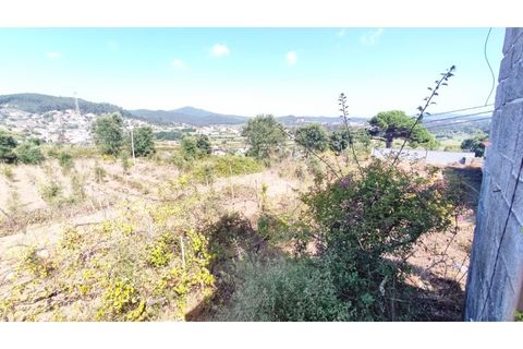 Farm i Curvos, Braga, Curvos - € 685.000 | Ref: 2932 - foto 2