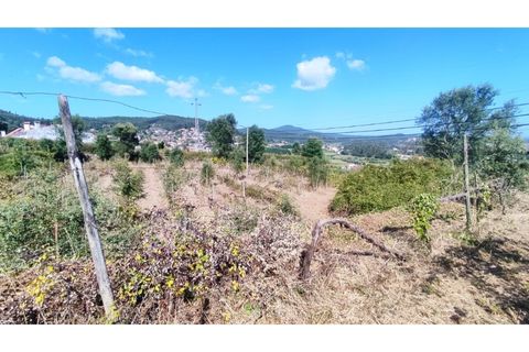 Farm i Curvos, Braga, Curvos - € 685.000 | Ref: 2932 - foto 4