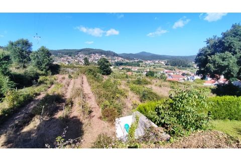 Farm i Curvos, Braga, Curvos - € 685.000 | Ref: 2932 - foto 5