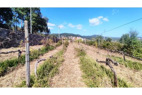 Farm i Curvos, Braga, Curvos - € 685.000 | Ref: 2932 - foto 6