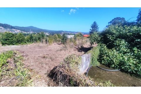 Farm i Curvos, Braga, Curvos - € 685.000 | Ref: 2932 - foto 8