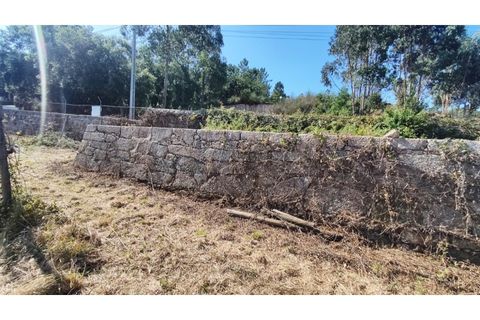 Farm i Curvos, Braga, Curvos - € 685.000 | Ref: 2932 - foto 9
