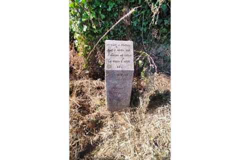 Farm i Curvos, Braga, Curvos - € 685.000 | Ref: 2932 - foto 10