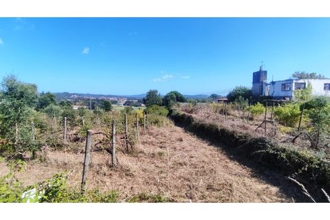 Farm i Curvos, Braga, Curvos - € 685.000 | Ref: 2932 - foto 11