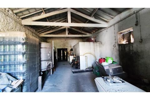 Farm i Curvos, Braga, Curvos - € 685.000 | Ref: 2932 - foto 13