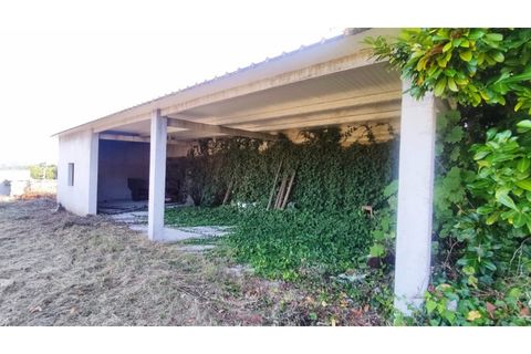 Farm i Curvos, Braga, Curvos - € 685.000 | Ref: 2932 - foto 15