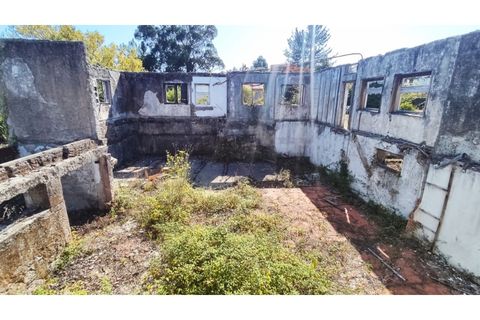 Farm i Curvos, Braga, Curvos - € 685.000 | Ref: 2932 - foto 17