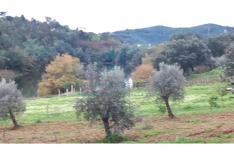 Terra a Penacova, Coimbra, Penacova - € 60.000 | Ref: V231566TR - foto 2