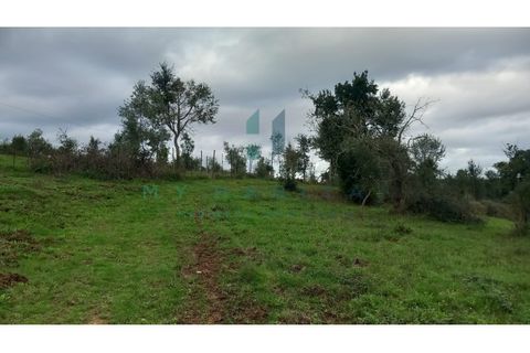 Terra a Penacova, Coimbra, Penacova - € 60.000 | Ref: V231566TR - foto 3