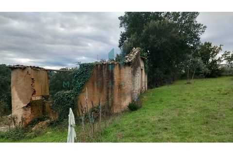 Terra a Penacova, Coimbra, Penacova - € 60.000 | Ref: V231566TR - foto 6