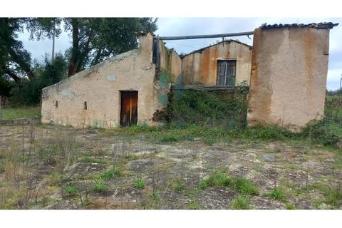 Terra a Penacova, Coimbra, Penacova - € 60.000 | Ref: V231566TR - foto 7